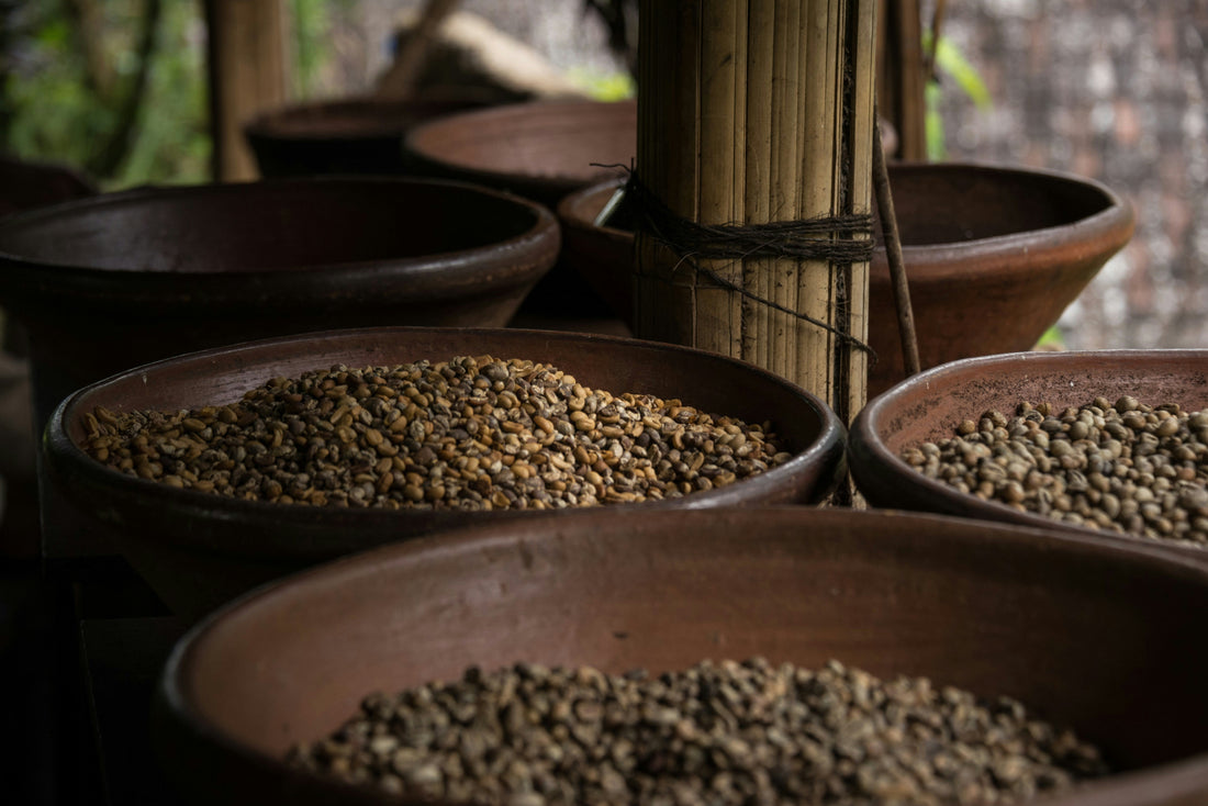 Ethical & Sustainable Coffee Sourcing
